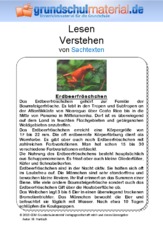 Erdbeerfröschchen.pdf